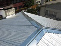 /album/productos/miguel-claro-5-jpg/